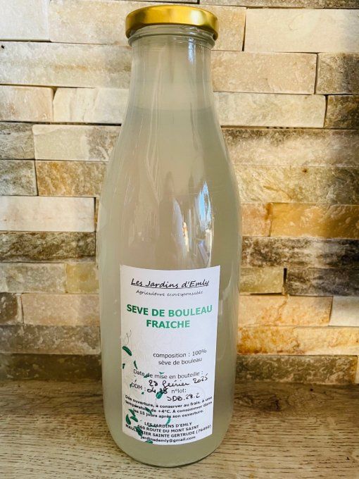 SEVE DE BOULEAU FRAICHE