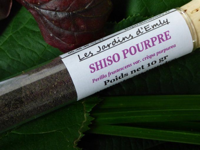 SHISO POURPRE en poudre 10 gr